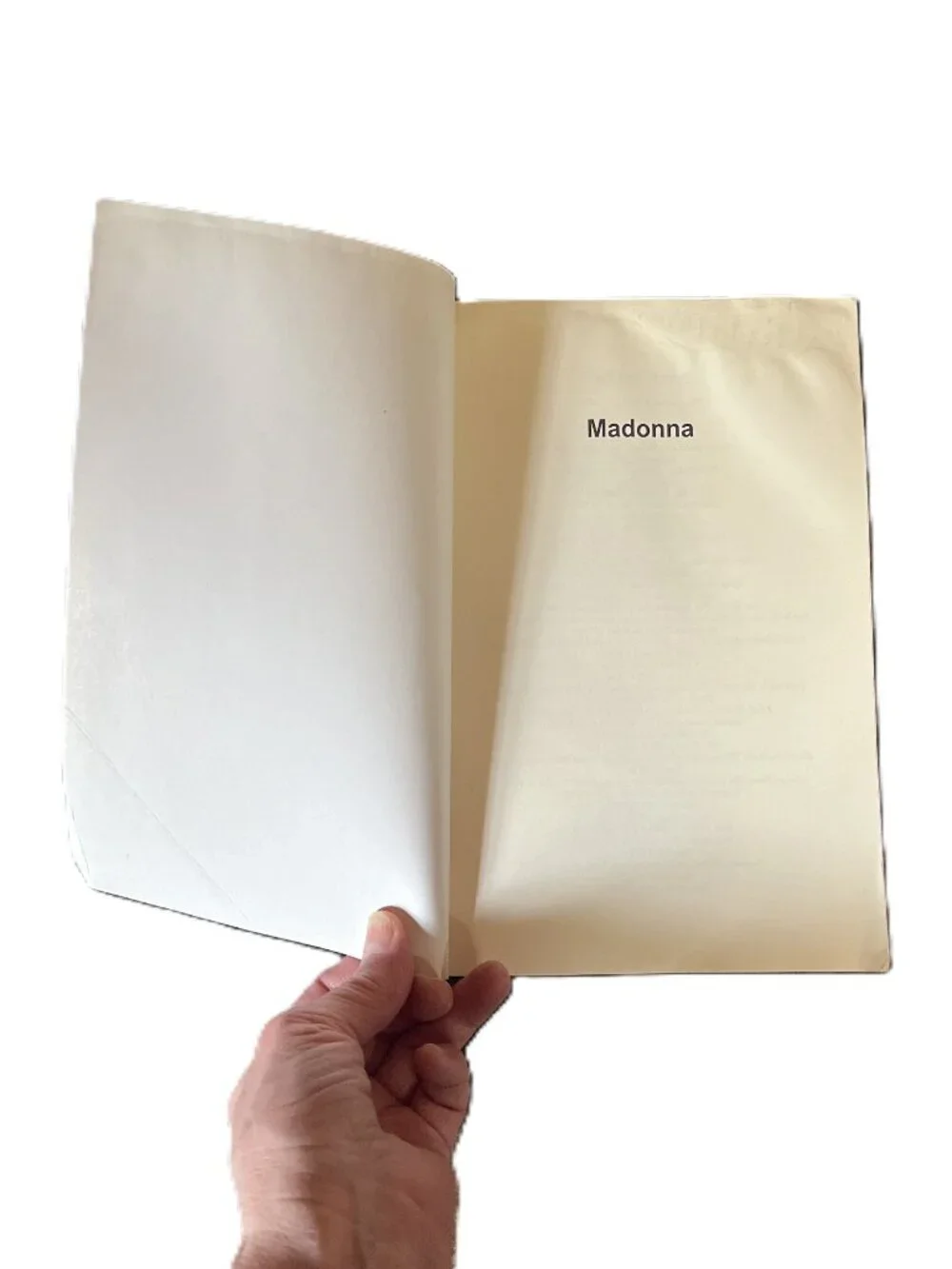 Madonna, Blonde Ambition, Updated Edition by Mark Bego, Softcover
